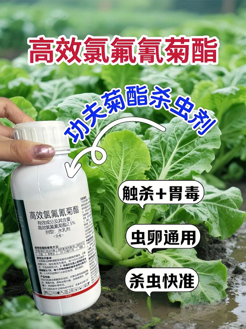 揭阳代生中心:农药对供卵代生妈妈的危害